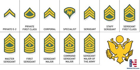 Major Insignia Army