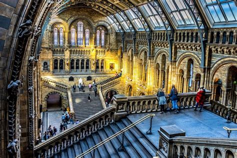 Premium Photo | Natural history museum london