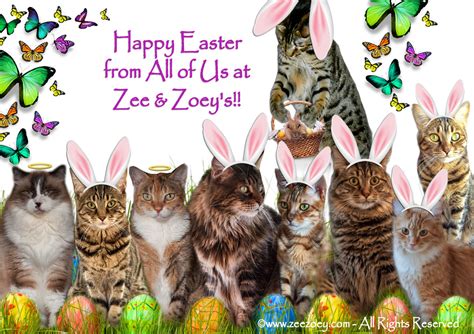 Easter Greetings from Zee & Zoey's Cat Chronicles | Zee & Zoey's Cat Chronicles