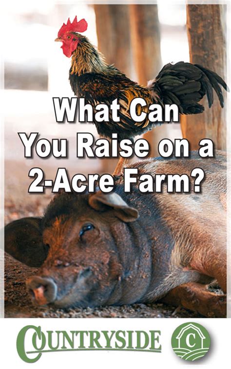 Using a 2-Acre Farm Layout to Raise Your Own Meat - Countryside | Farm layout, Farm lifestyle ...