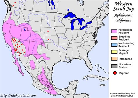 Western Scrub Jay - Species Range Map