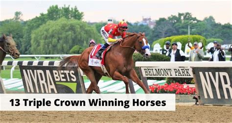 All 13 Triple Crown Winning Horses Who Made History (Facts & History)