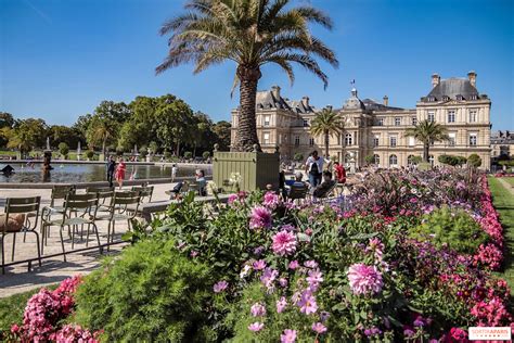 Los Jardines de Luxemburgo, un lugar único en París - Sortiraparis.com