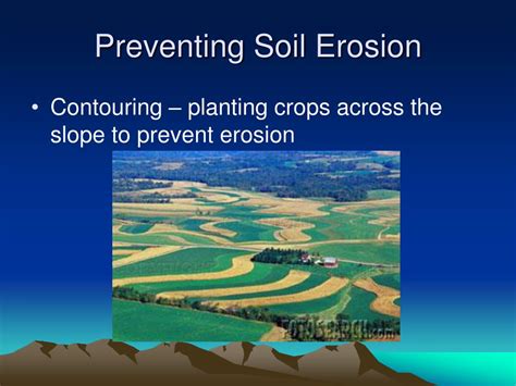 PPT - Preventing Soil Erosion PowerPoint Presentation, free download - ID:2269224