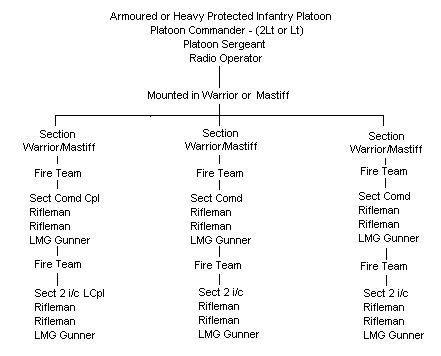 British Army - The Infantry - Platoon Organisation - Armed Forces - a5a07