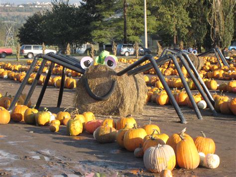 Spooner Farms Harvest Festival and Pumpkin Patch