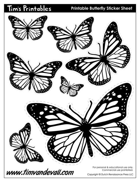 Butterfly Templates – Tim's Printables | Butterfly stencil, Butterfly printable, Butterfly template