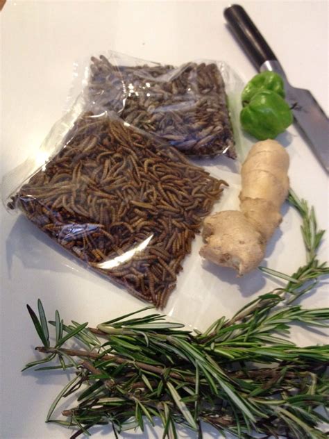 ENTOMOPHAGY TRIAL RUN | Eating insects, Base foods, Meal worms