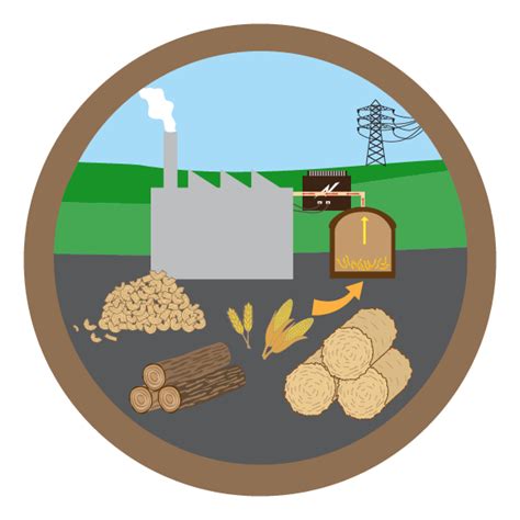 Generating Electricity: Biomass | Let's Talk Science