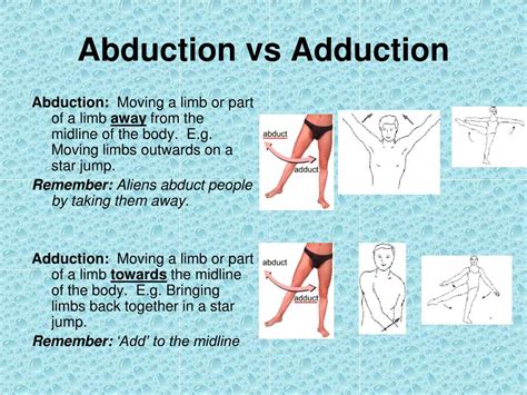 Abduction Vs Adduction : Hip Abduction Exercises Anatomy Benefits Effectiveness - 12 News Online AUI