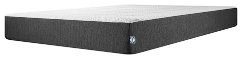 Sealy 10" Medium Memory Foam Mattress, Twin XL - Traditional - Mattresses - by Sealy | Houzz