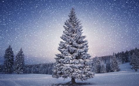 Snowy Christmas Scenes Wallpaper - WallpaperSafari