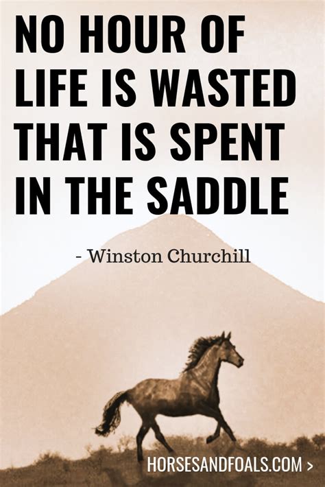 17 Inspirational Horse Quotes That You Will Love [With Images]