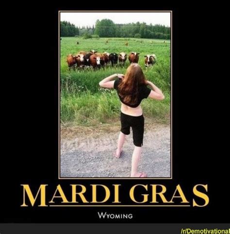 funny mardi gras meme | Funny | Funny memes, Mardi gras, Mardi gras carnival