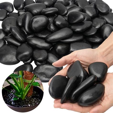 Amazon.com: Black River Rocks - Piedras grandes para paisajismo al aire ...