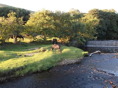 Well-i-Hole Farm Campsite - Photos from around the site