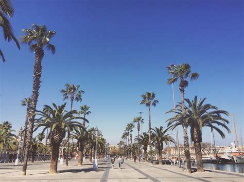 7 Best Free Things to Do in Barcelona | lastminute.com | lastminute.com