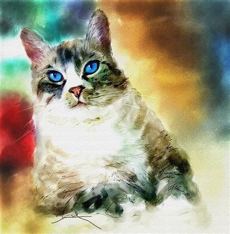 Robert Smith | Cats, Watercolor cat, Cat art