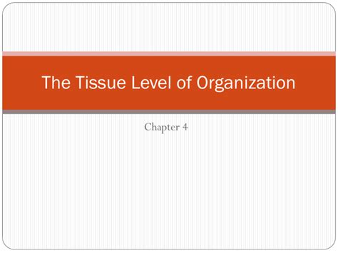 The Tissue Level of Organization