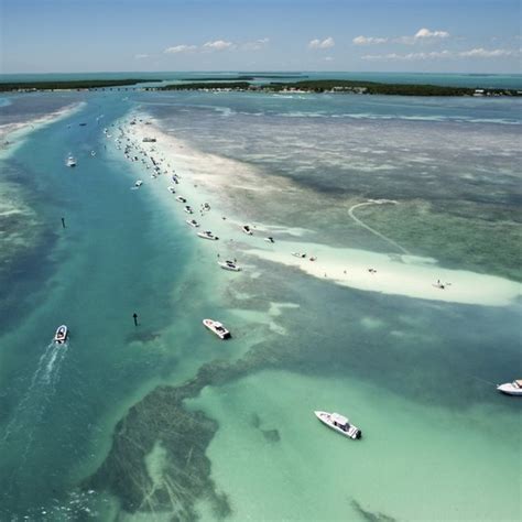 The Best Snorkeling From the Shore in Marathon, Florida | USA Today