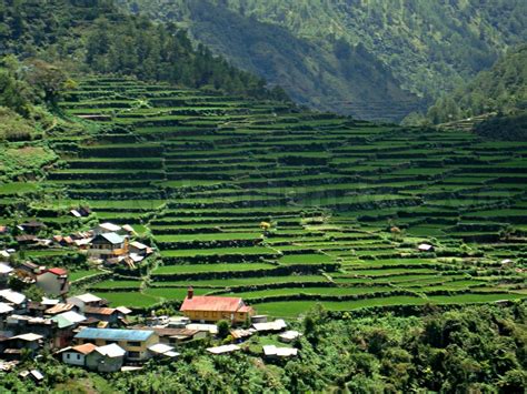 Mountain Province - Stopover at Bay-yo Rice Terraces in Bontoc | Blogs, Travel Guides, Things to ...