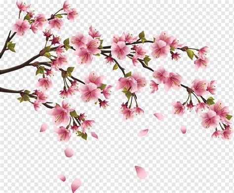 Cherry blossom Paper Wall decal Branch, column, sticker, twig, flower ...