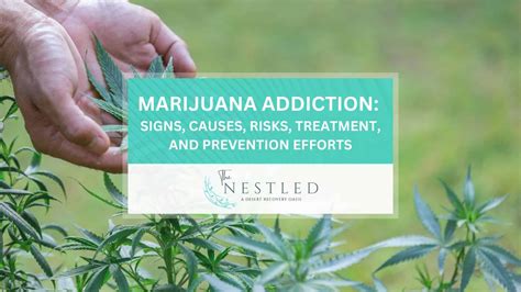 Marijuana Addiction: Signs, Causes, Risks and Treatment. | The Nestled ...