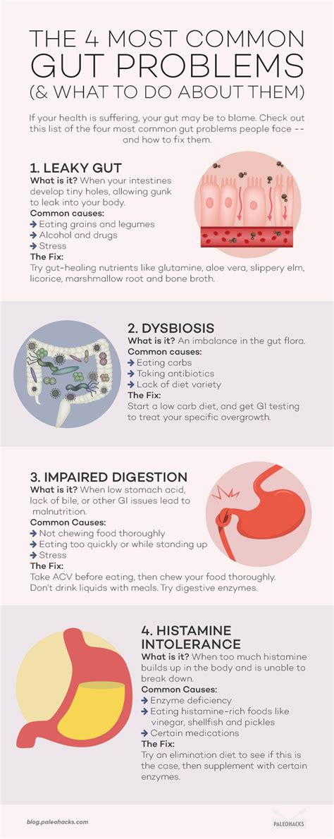 The 4 Most Common Gut Problems (& What To Do About Them) | Gut problems ...