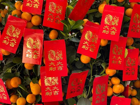 7 Chinese New Year traditions to fill your holiday with joy, luck and prosperity | Macao News