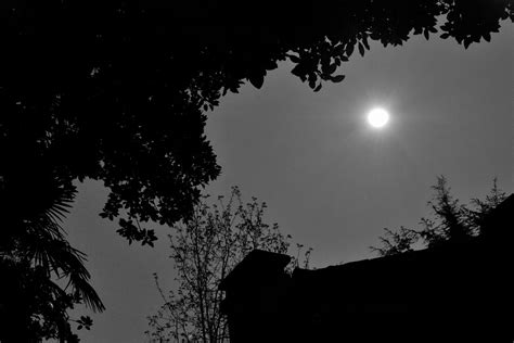 Black-and-white-moon-silhouette-1280