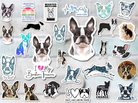 Boston Terrier Sticker Pack 27 Stickers Included Decal - Etsy