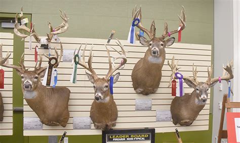 Deer Classic Show a must see event | News, Sports, Jobs - Times Republican