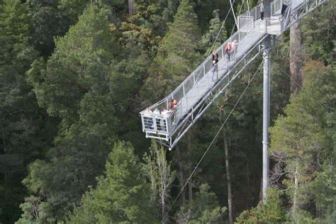 Tahune AirWalk discount - 10% off entry! - Key to Tasmania