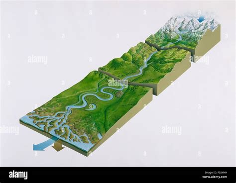 River cross section hi-res stock photography and images - Alamy