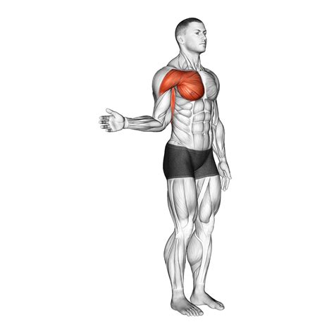 Shoulder Tendonitis: 5 Stretches and 5 Exercises (with Pictures!) - Inspire US