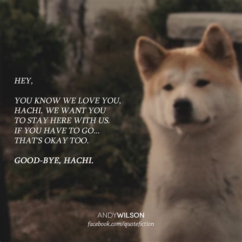 Hachiko Dog, Hachiko Statue, Dog Quotes, Movie Quotes, Funny Quotes, Hachi A Dogs Tale, Cute ...