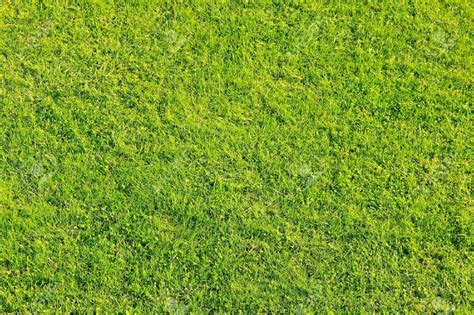 Texture of green grass for football field | Grass textures, Artificial ...