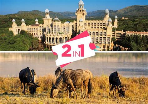 Safaris: Safari in the Pilansberg Game Reserve and tour of the Sun City ...