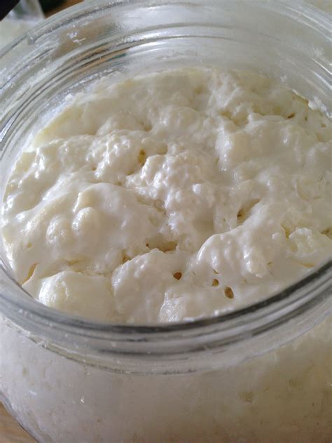 The Thick and Thin of Kefir - Cultured Food Life