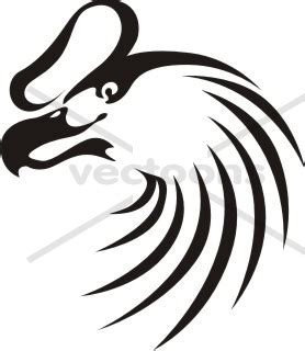 Andean condor clipart 20 free Cliparts | Download images on Clipground 2024