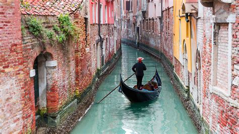 Just Landed: The water in Venice's canals is clear… but there were never any dolphins | Escapism TO