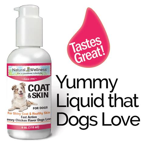 Dog Coat Supplement: Coat & Skin For Dogs - Natural Wellness