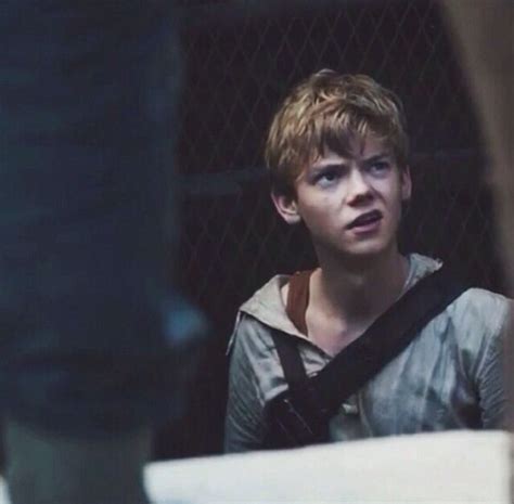 Newt