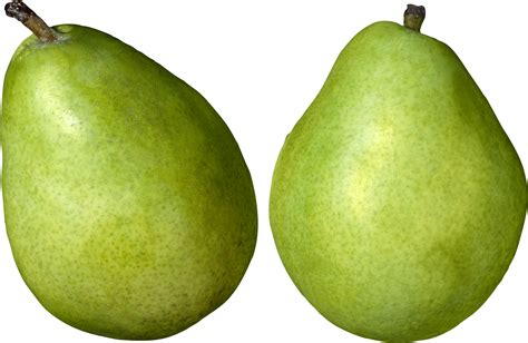 Green pears PNG image