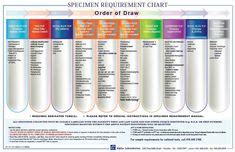 blood test tubes lab