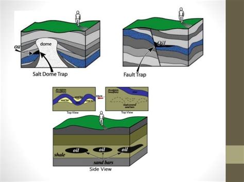 Petroleum Geology