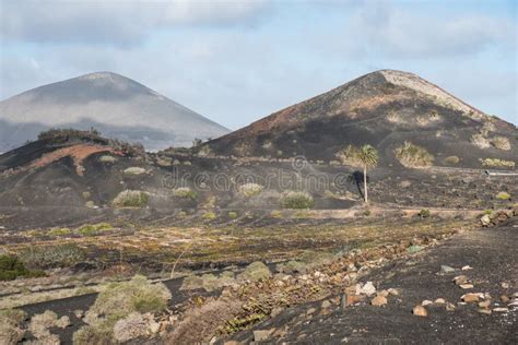 Volcanic Lanzarote Landscape. Canary Islands. Spain Stock Image - Image of pattern, background ...