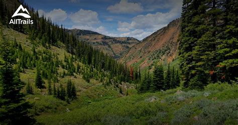 Best trails in Jarbidge Wilderness, Nevada | AllTrails