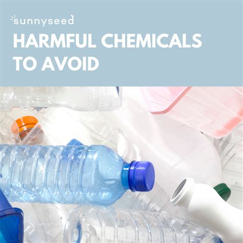 Harmful Chemicals to Avoid — Sunnyseed