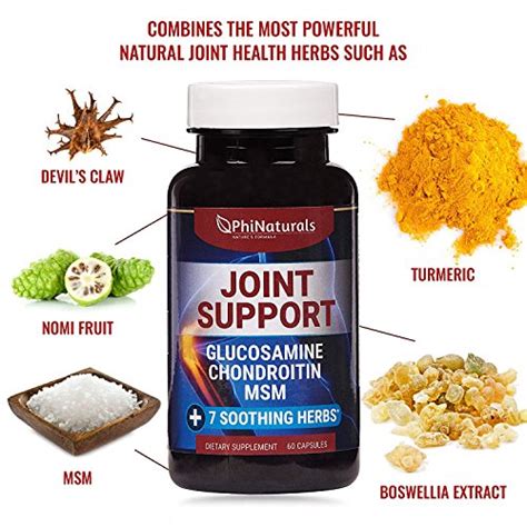 Glucosamine Chondroitin - MSM - Joint Supplements - Health Supplement ...